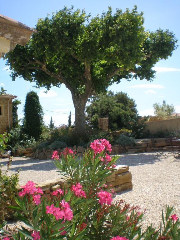 Le Clos Saint Saourde Бом-дьо-Вениз Екстериор снимка
