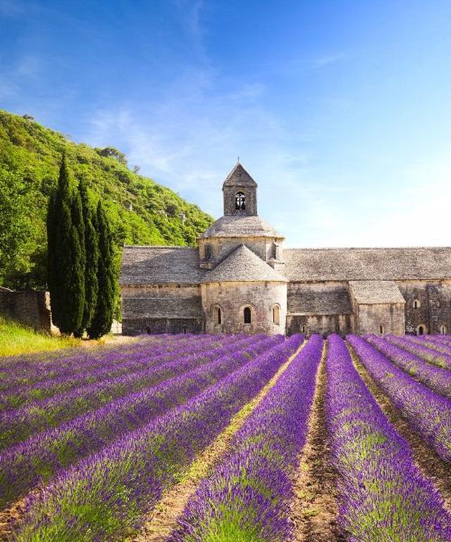Le Clos Saint Saourde Бом-дьо-Вениз Екстериор снимка